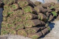 Pile of sod rolls 2 Royalty Free Stock Photo