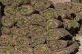 Pile of sod rolls Royalty Free Stock Photo