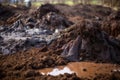 pile of soil and fertilizer runoff, mixing with water and creating toxic sludge