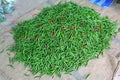 Pile of some red and green chillies mixed Royalty Free Stock Photo