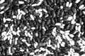 Pile of soya beans in black and white Royalty Free Stock Photo