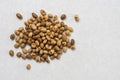 Pile of soya beans isolated above white marble table background Royalty Free Stock Photo