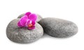 Pile of spa stones and orchid flower on white Royalty Free Stock Photo