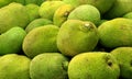 A pile of jack fruit to sale in the market. Royalty Free Stock Photo