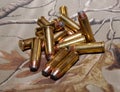 A pile of 44spl bullets