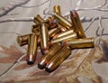 A pile of 44spl bullets Royalty Free Stock Photo