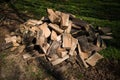 Pile of split wood in the forest Royalty Free Stock Photo
