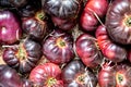 Cherokee Purple Salad Tomatoes With No People