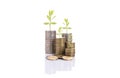 A pile of stack coin and growing sapling tree finance concept Royalty Free Stock Photo