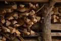 A pile of stacked chopped firewood logs under a small wooden house. Chopped firewood used for cooking in an outdoor kitchen.