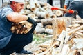 man hold firewood, he puts cutting wood into stack of wood woodpile Royalty Free Stock Photo