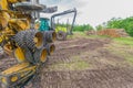 Pile of stacked trees with big machines and logging equipment from Governor Knowles State Forest in Northern Wisconsin - DNR has w Royalty Free Stock Photo