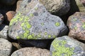 Pile of stone with lichen Royalty Free Stock Photo