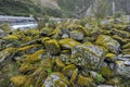 Pile of stone with lichen at glacier Royalty Free Stock Photo