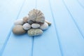 Pile of stones and a large sea shell Royalty Free Stock Photo