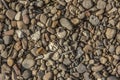 pile of stones. Texture. Backgrounds of small stones.