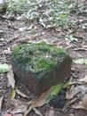 Pile stones that are thrown away and not used because the surface is uneven.