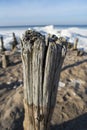 Pile stuck in the sand on the beach, the debris of the pier Royalty Free Stock Photo