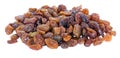 A pile of sultana raisins isolated Royalty Free Stock Photo