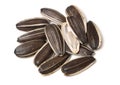 Pile of sunflower seed Royalty Free Stock Photo
