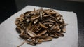 pile of sunflower seed shells on a piece of tissue Royalty Free Stock Photo