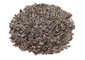 Pile of sunflower seed Royalty Free Stock Photo