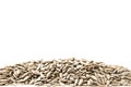 Pile of Sunflower Seeds Royalty Free Stock Photo