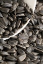 A pile of sunflower seeds. A closeup of dry sunflower seeds. Appetizing seeds. Royalty Free Stock Photo