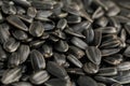 A pile of sunflower seeds. A closeup of dry sunflower seeds. Appetizing seeds. Royalty Free Stock Photo