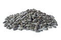 Pile of sunflower seeds isolated over white Royalty Free Stock Photo