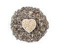 Pile of sunflower seeds isolated on white Royalty Free Stock Photo