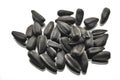 A pile of sunflower seeds lie on a white background Royalty Free Stock Photo