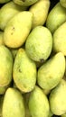 Pile of sweet mangoes (mango fruits). Top view.