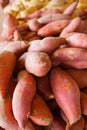 Pile of Sweet Potatoes Royalty Free Stock Photo