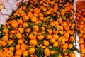 Pile of tangarine fruits on fruit market Royalty Free Stock Photo