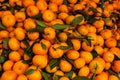 Pile of tangarine fruits on fruit market Royalty Free Stock Photo