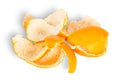 Pile Of Tangerine Peel