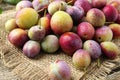 Pile of tasty ripe plums on table, closeup Royalty Free Stock Photo