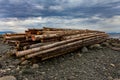 Log Pile at Low Tide on Sandpiper Beach Royalty Free Stock Photo