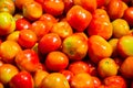 A pile of tomatoes. Summer tray market agriculture farm full of organic tomatoes. Royalty Free Stock Photo