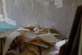 A pile of torn off wallpaper on a background of a concrete wall Repair, removal of old wallpaper