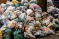 Pile of trash bags near tree Royalty Free Stock Photo