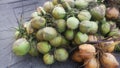 pile of tropical fresh young coconut fruit. Many young coconut drinks are sold on during the month of Ramadan