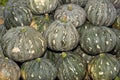 A Pile of Tropical Kabocha Japanese Pumpkin Royalty Free Stock Photo