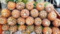 A pile of tropical pineapple fruit in a big tray and selling at the food market Royalty Free Stock Photo