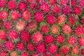 Pile of tropical rambutan fruits. Pink and spiky rambutan are piled on a table at a farmers market.