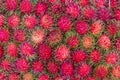 Pile of tropical rambutan fruits. Pink and spiky rambutan are piled on a table at a farmers market.