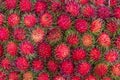 Pile of tropical rambutan fruits. Pink and spiky rambutan are piled on a table at a farmers market. Royalty Free Stock Photo