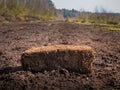 Pile of turf with peatland in the background