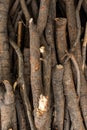 A pile of twigs to make firewood